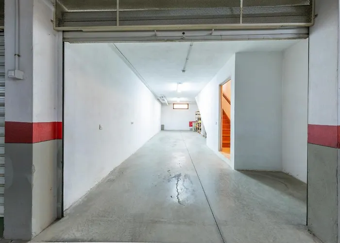 Medano4you 3 Fridas *